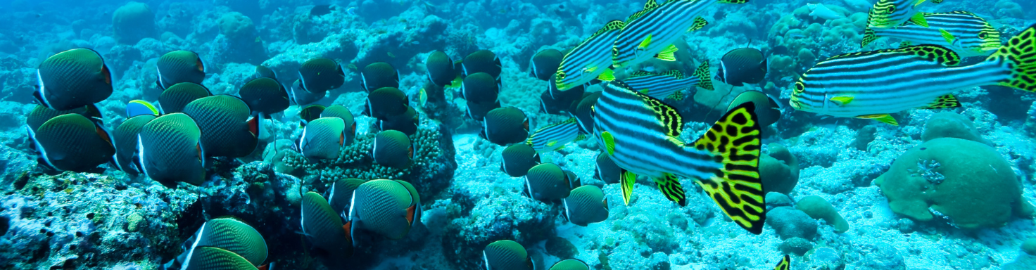 South Malé Atoll